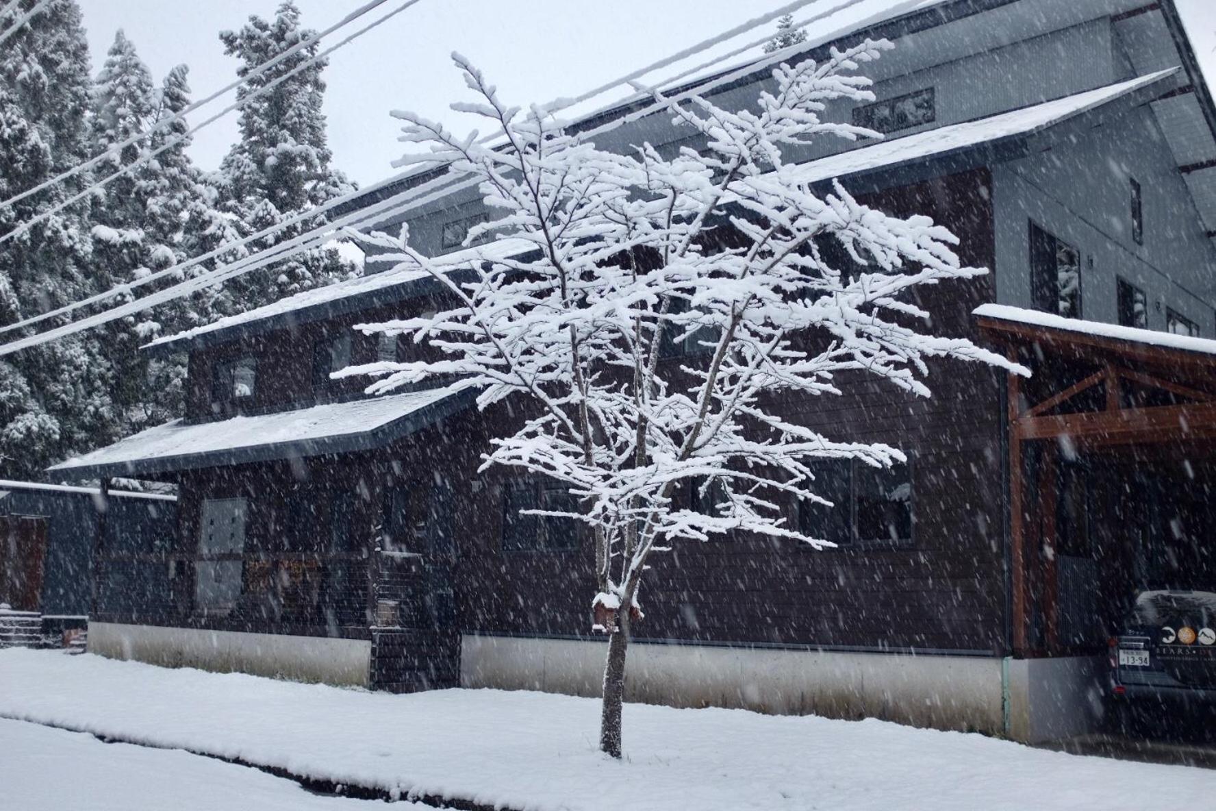 Bears Den Mountain Lodge Hakuba Buitenkant foto