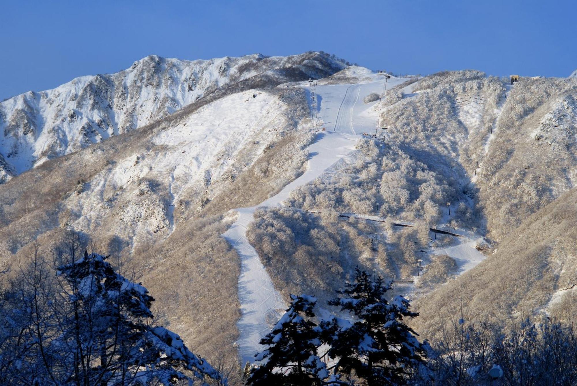 Bears Den Mountain Lodge Hakuba Buitenkant foto